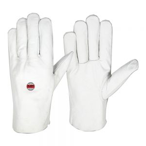 Driving Gloves